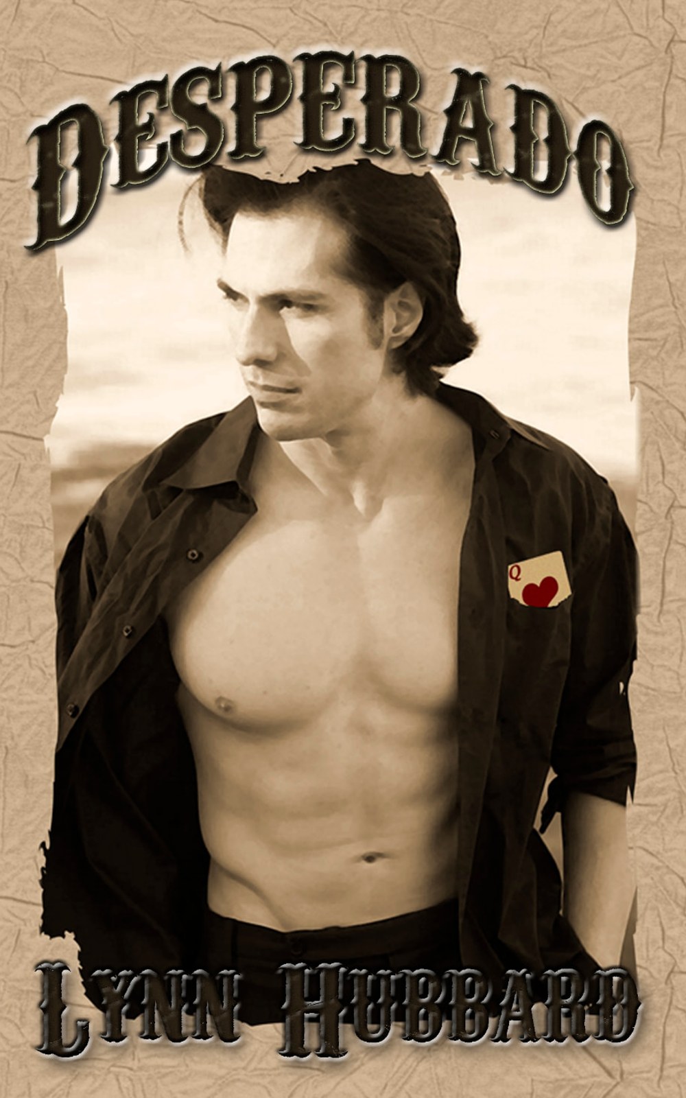 Cover of Desperado by Lynn Hubbard