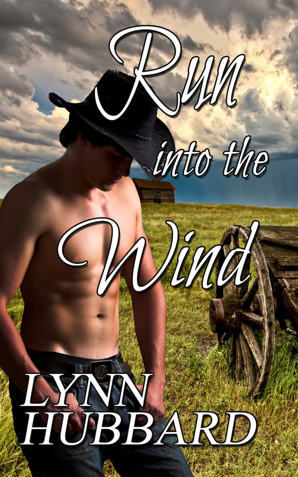 Book cover of Run into the Wind by Lynn Hubbard