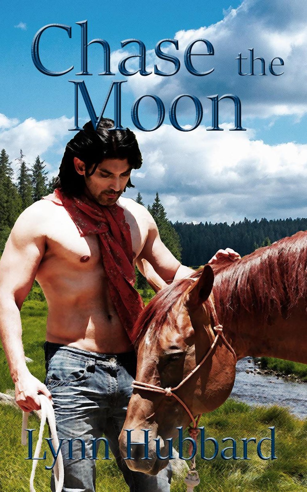 Cover of Chase the Moon by Lynn Hubbard